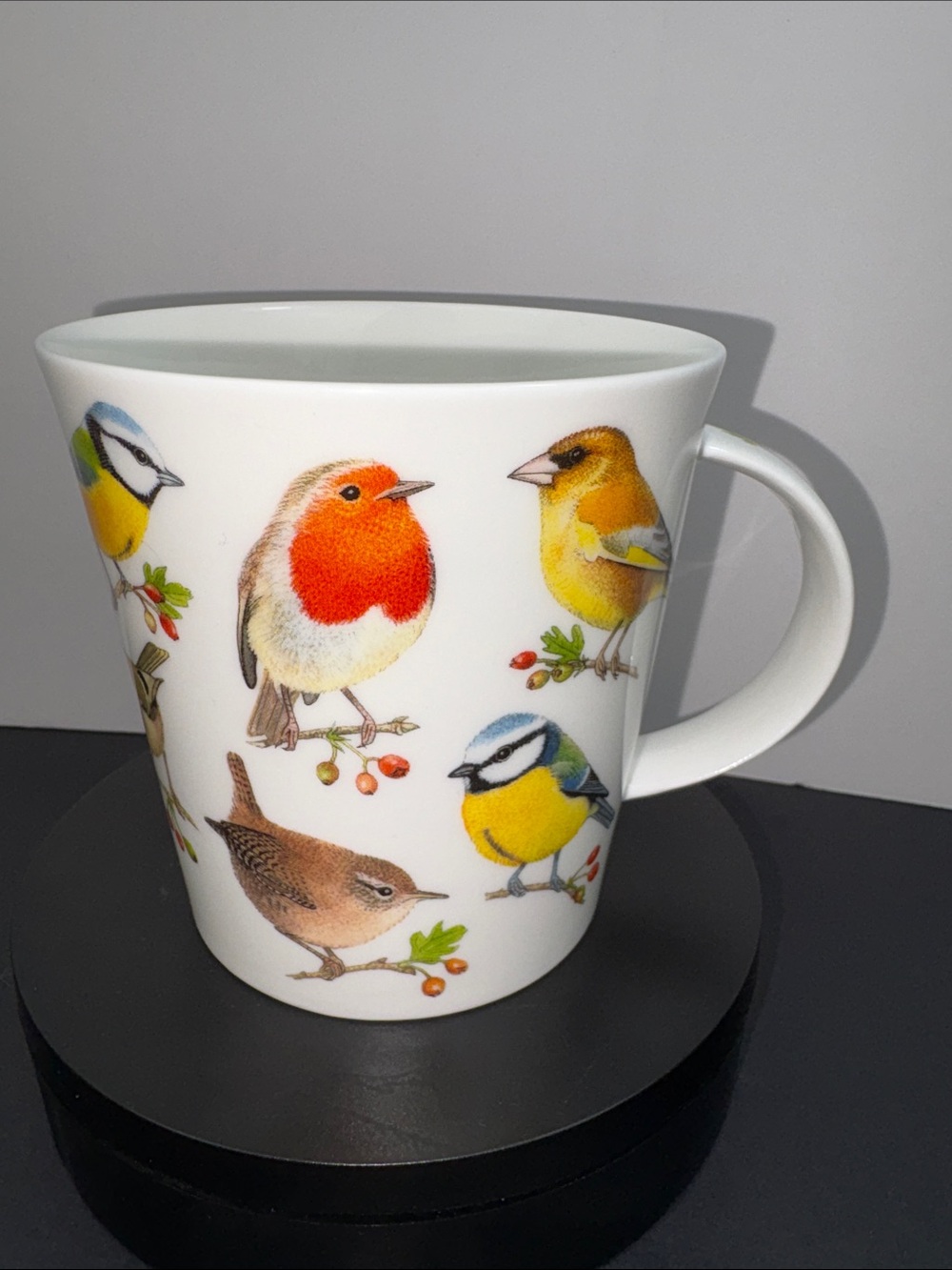 Dunoon Cairngorm Song Birds On Berries Mug Design By Richard Partis